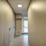 Moderni Domus