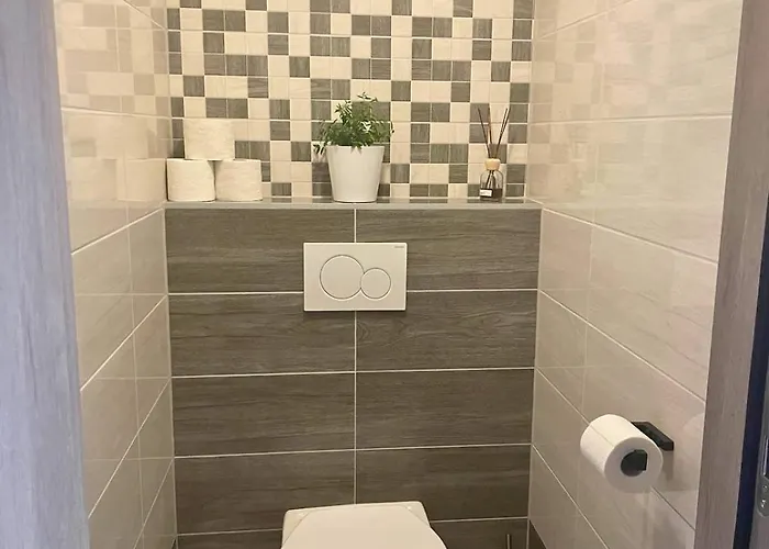 Moderni Domus *